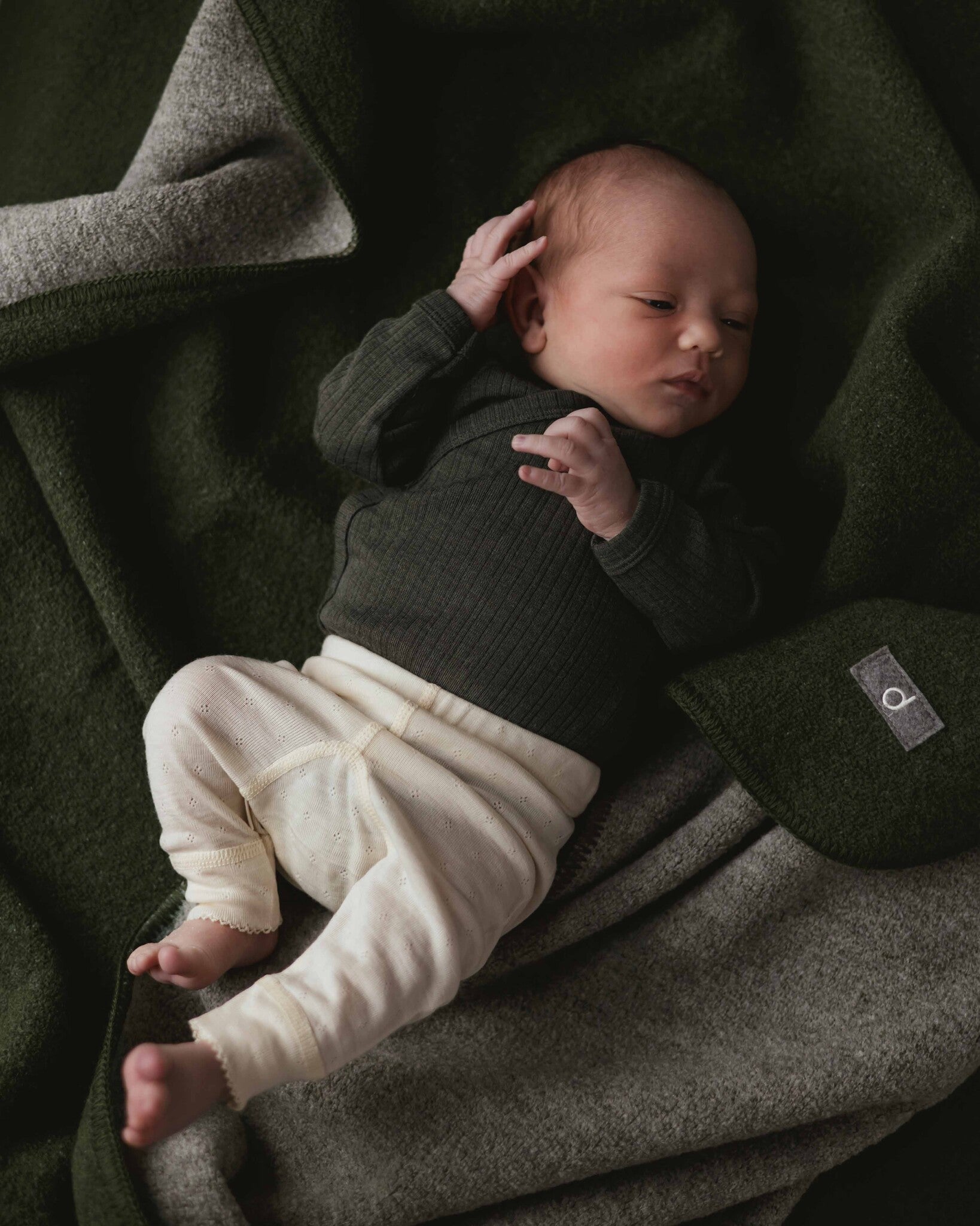Alfie for Ziloen web-22